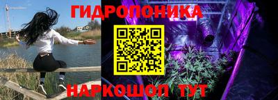 ПСИЛОЦИБИНОВЫЕ ГРИБЫ Жуковский